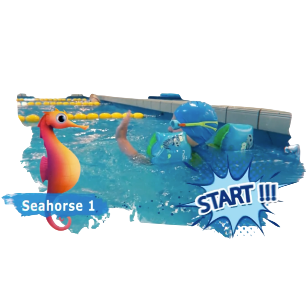 ZLiX swimming skill recognition interface